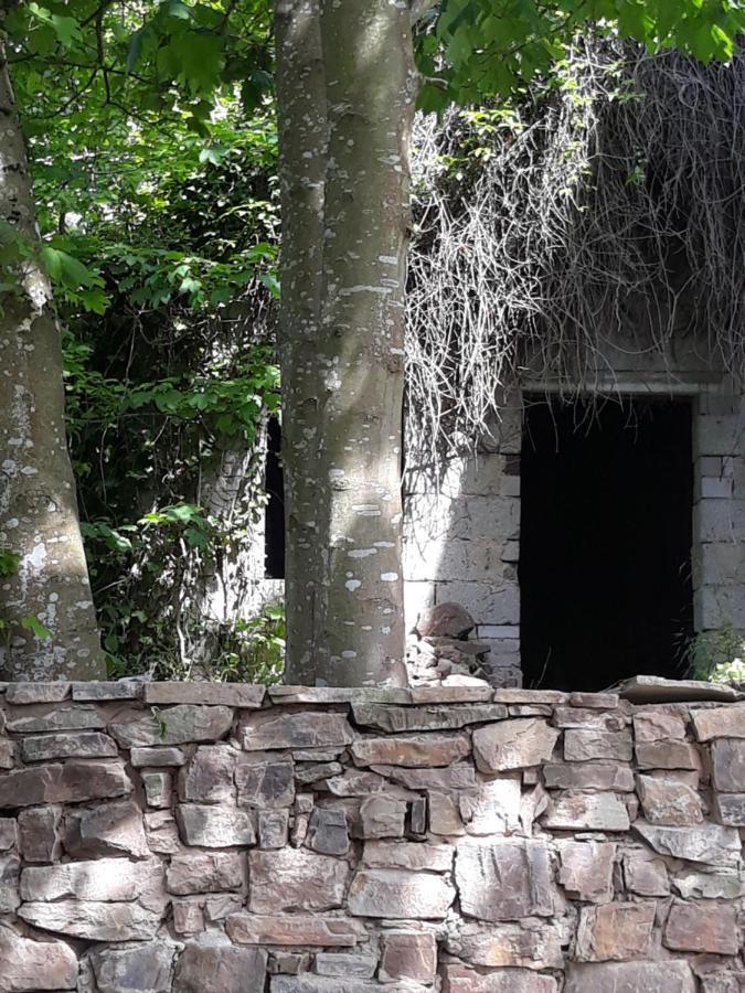 Linde2 Villa Horperath Eksteriør billede